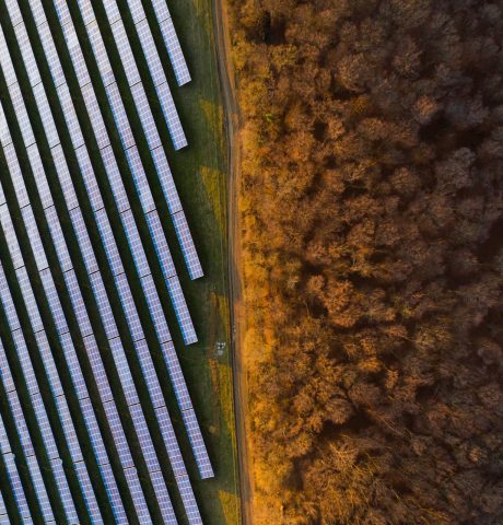 Aerial view of solar panels on a sunny day. Power farm producing clean energy.